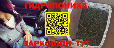 альфа пвп Ачхой-Мартан