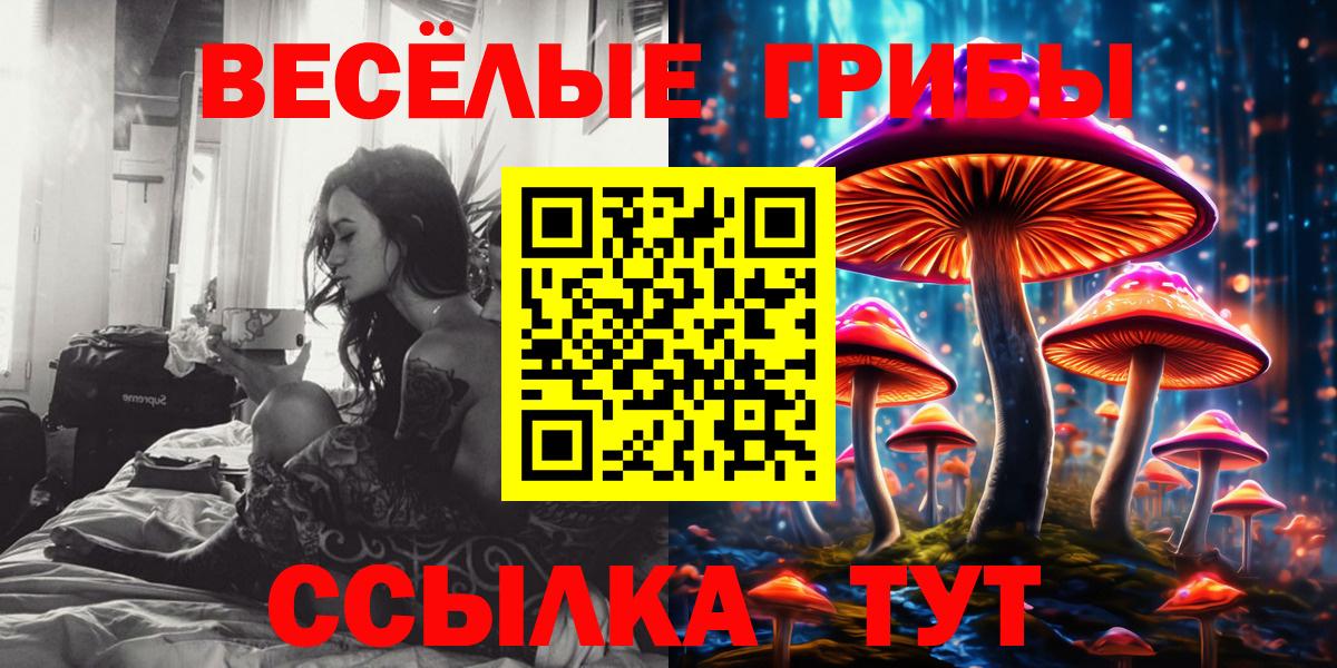 Псилоцибиновые грибы MAGIC MUSHROOMS  Вход с VPN  Куйбышев 